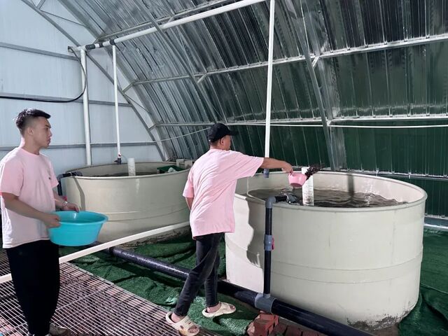 通辽市首家工厂化养鱼项目落户奈曼 种植养殖融合发展新篇章
